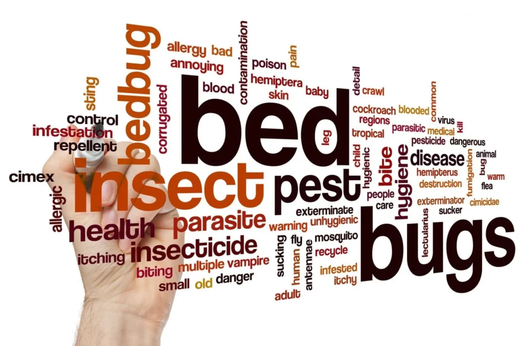 Bed Bug Myths