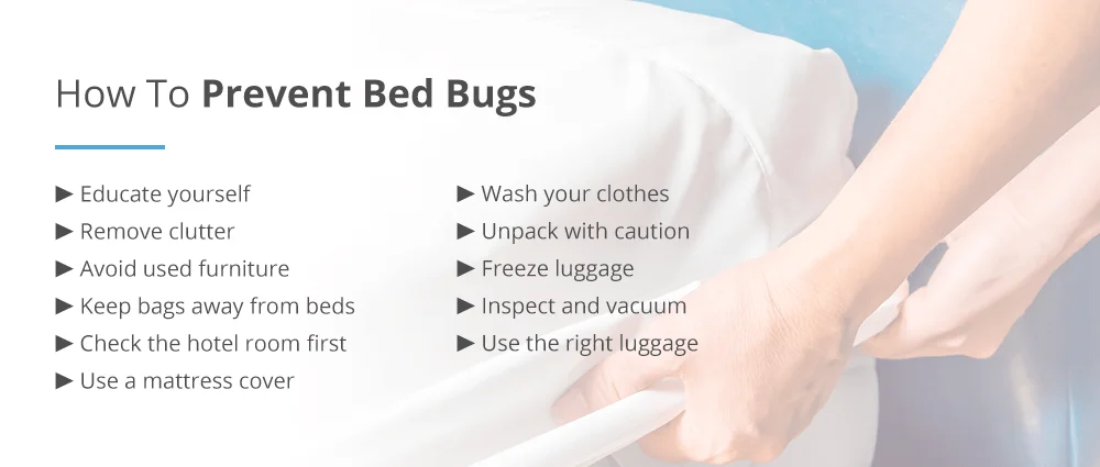 Bed Bug Prevention And Control