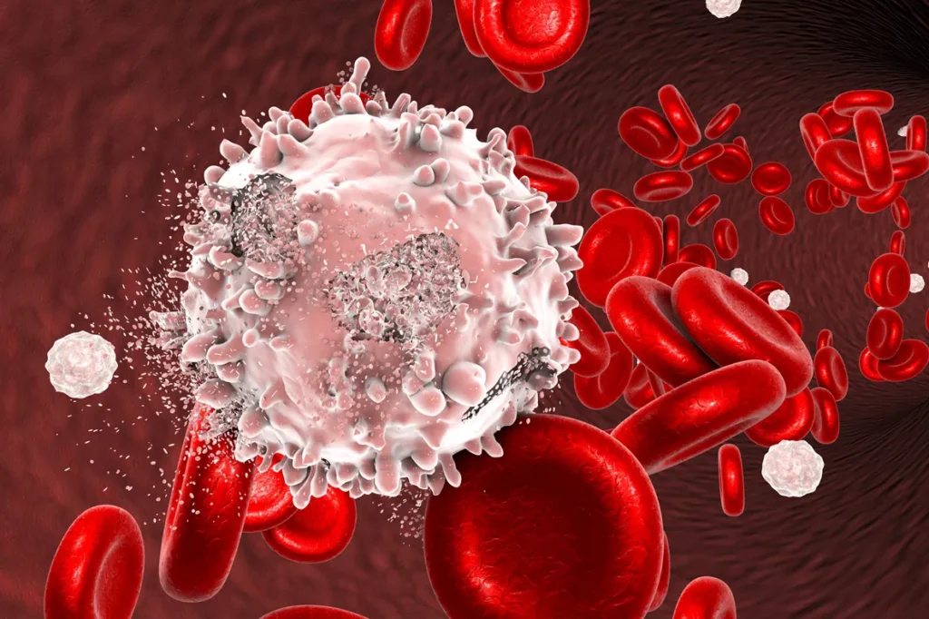 Hematology Oncology