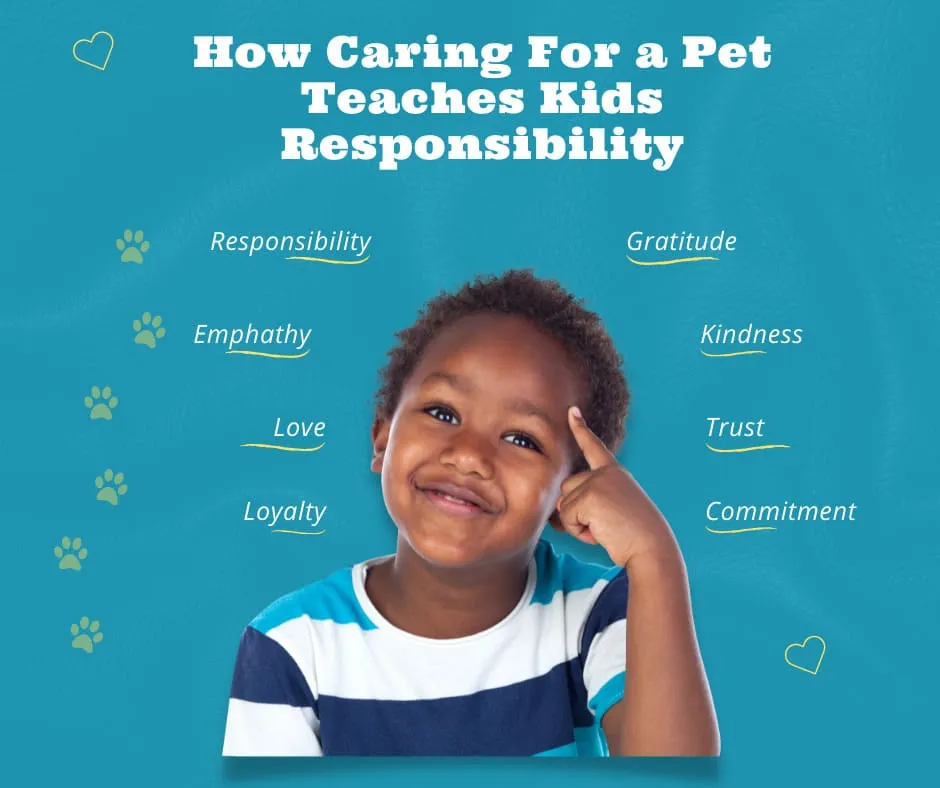 teaches responsibility