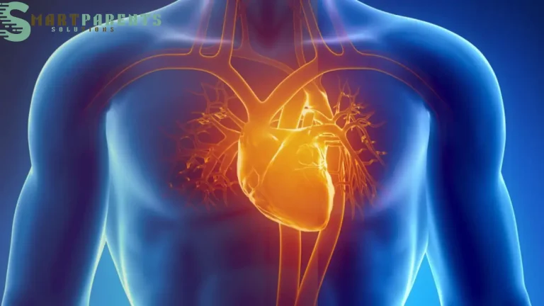 Circulatory System Disorders: Diagnosis And Best Treatment  