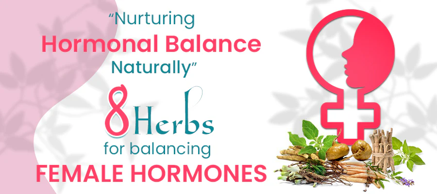 Herbal Products and Adrenalizers: Organic Help for Balanced Hormones
