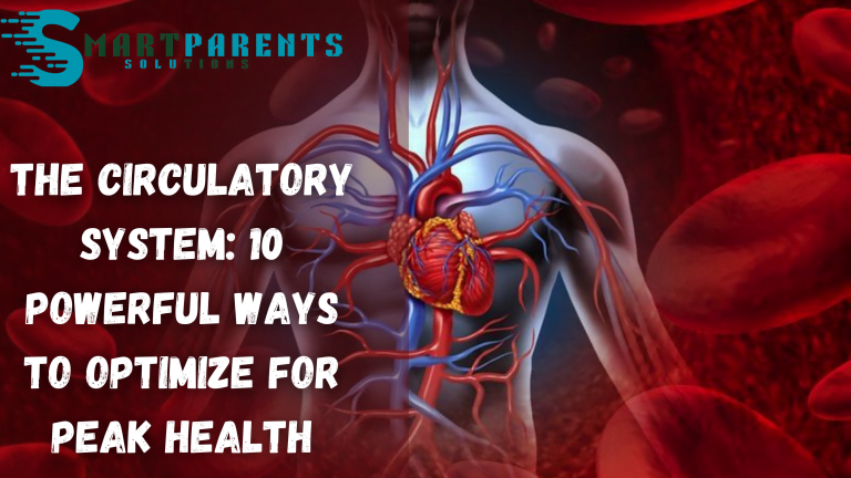 The Circulatory System 10 Powerful Ways to Optimize for Peak Health