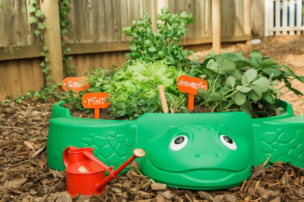 Gardening and Planting Projects
