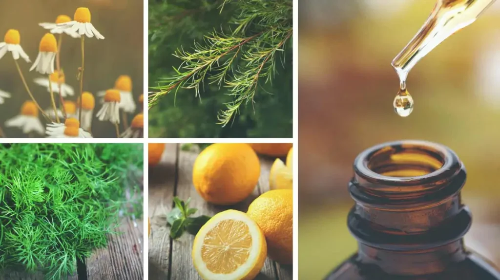 Other Oils (e.g., Baby Oil, Essential Oils)